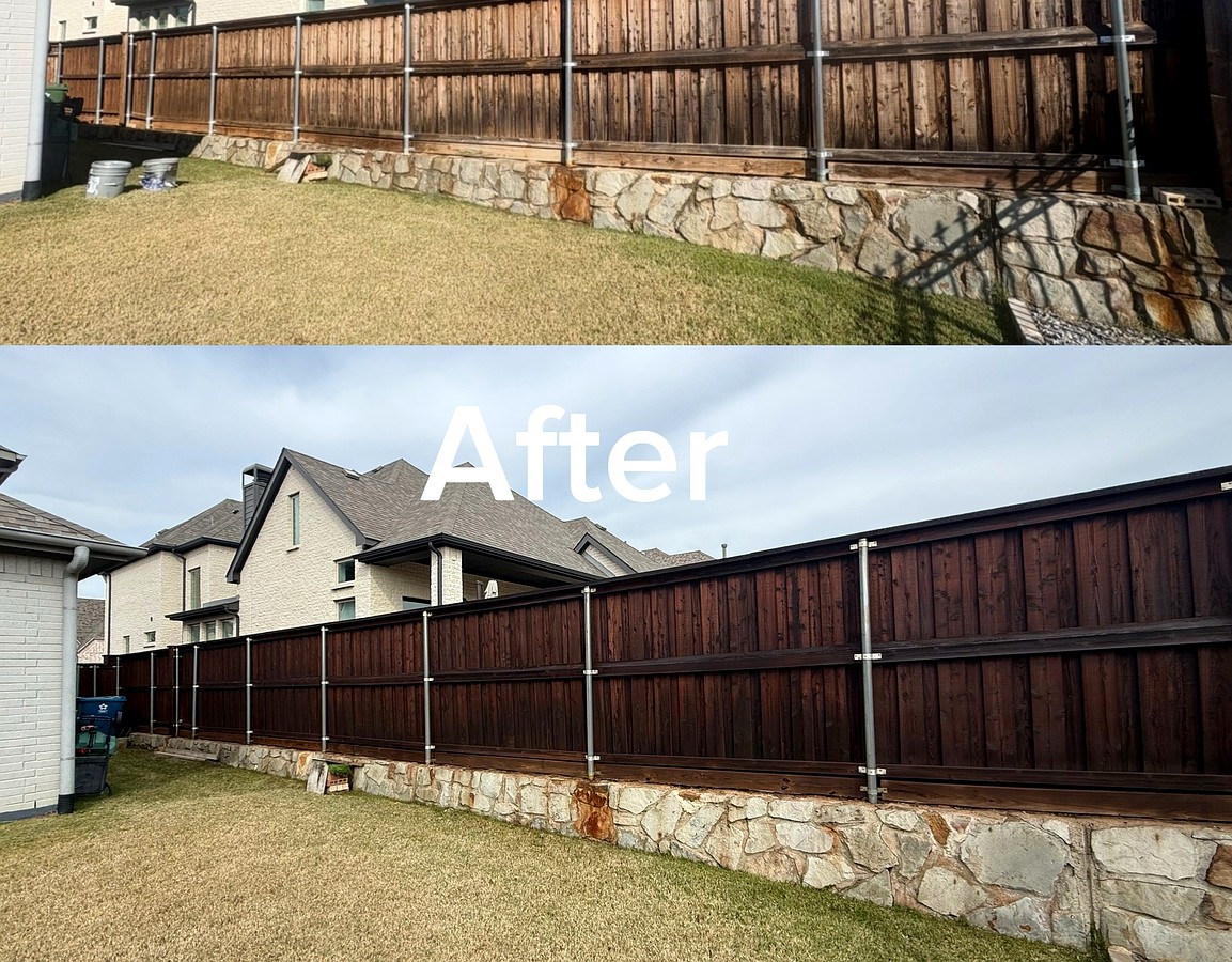 Staining Project 3