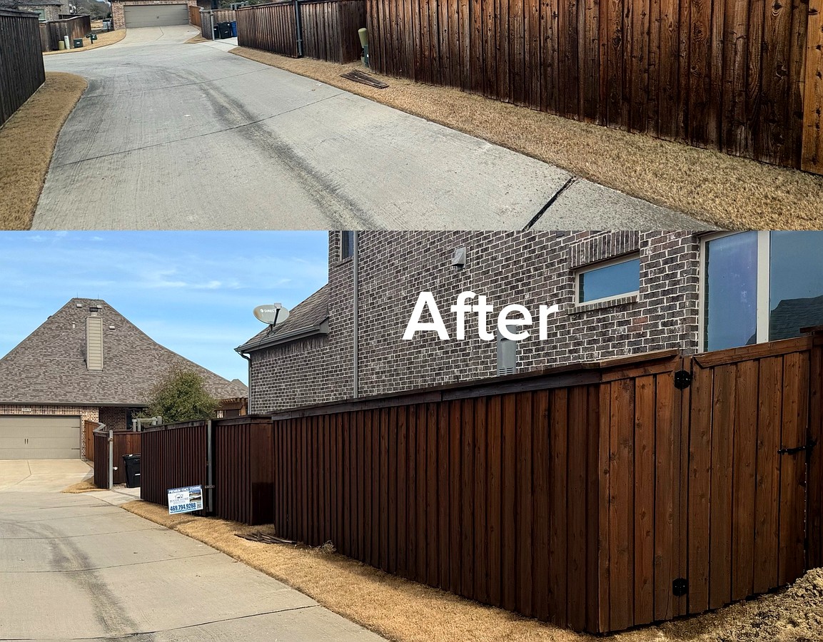 Staining Project 1