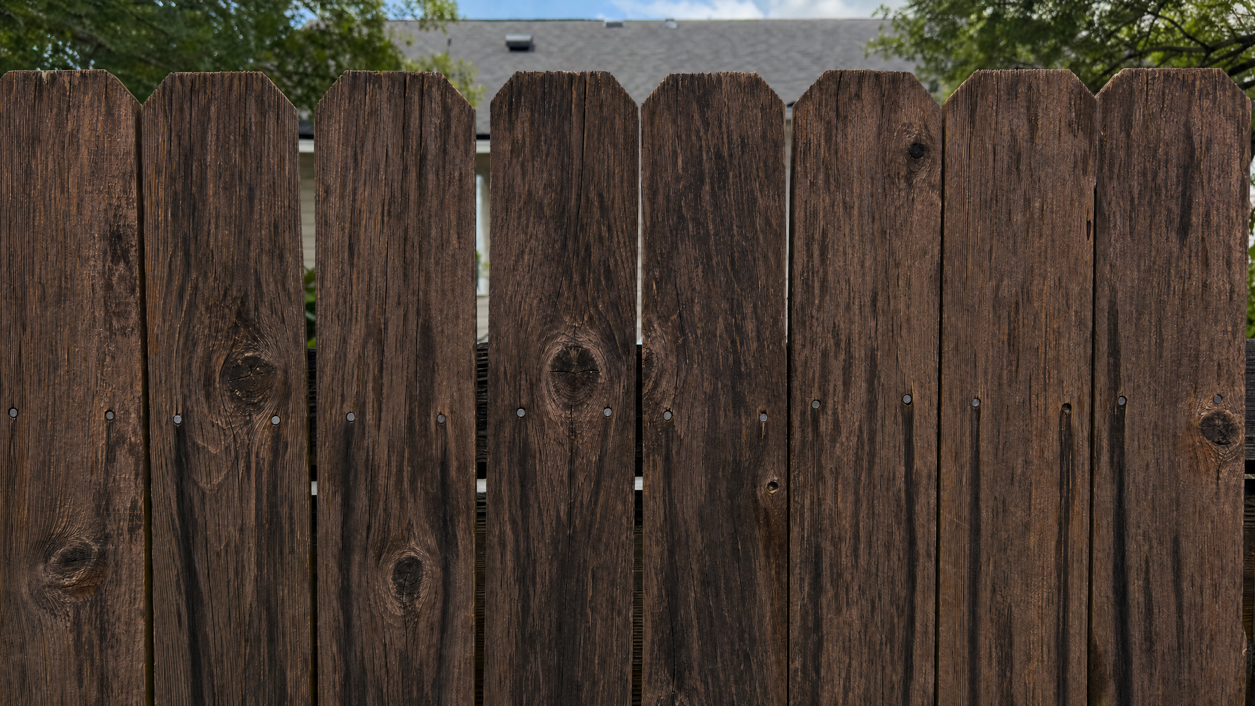 Modern Horizontal